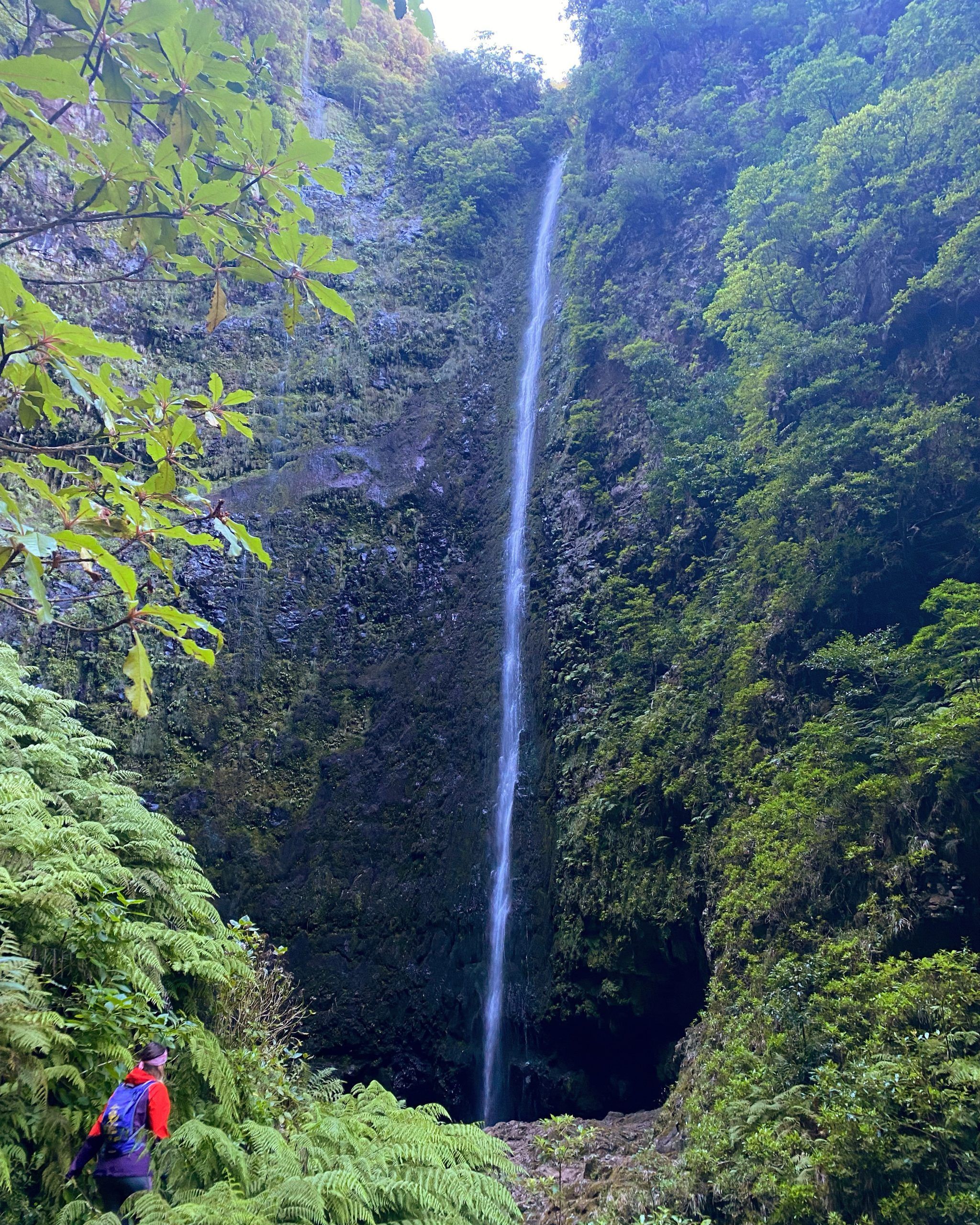 9 caminatas para hacer en Madeira
