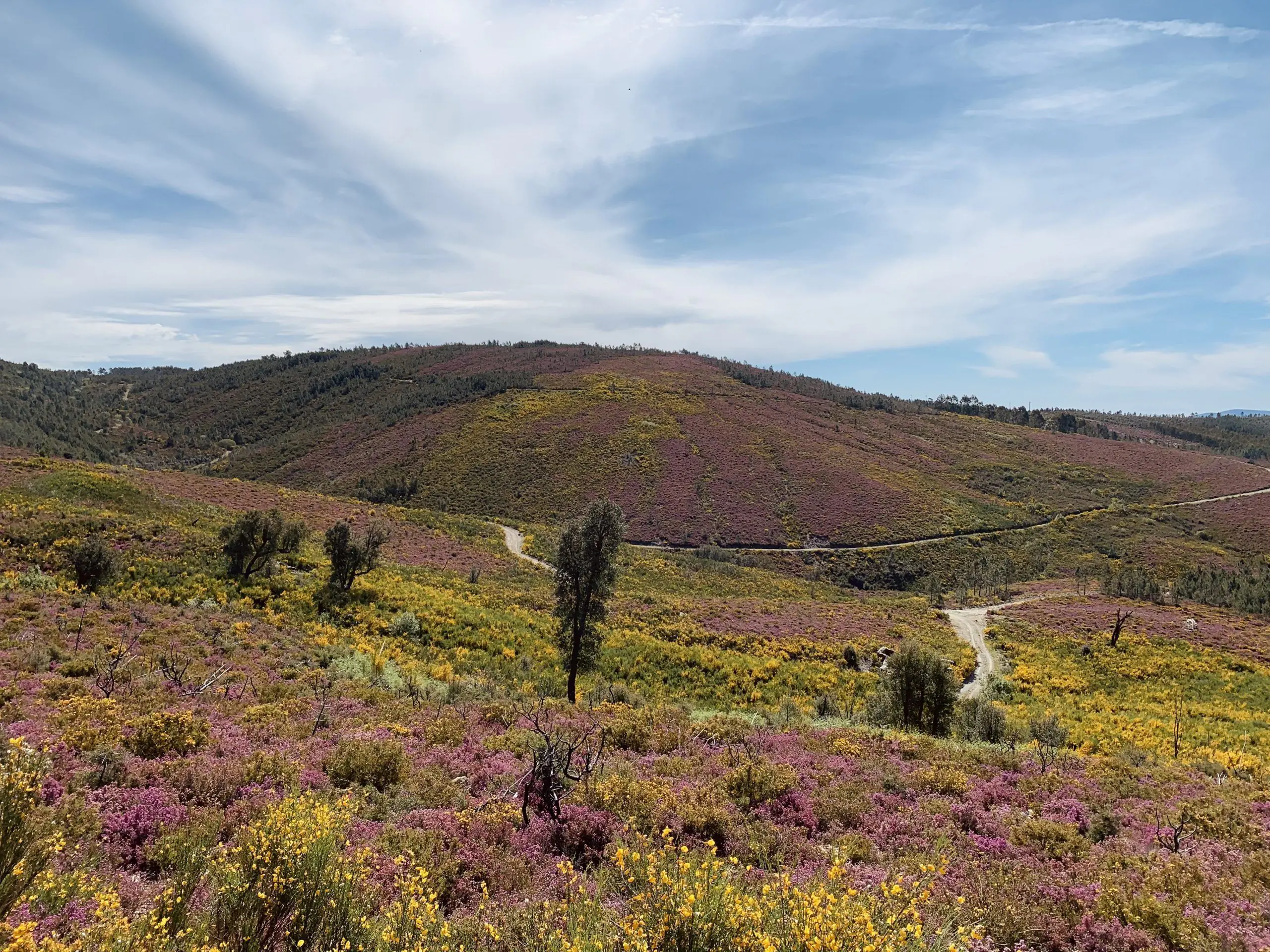 Carretera de Portugal
